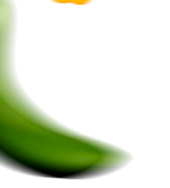 shape