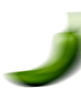 shape